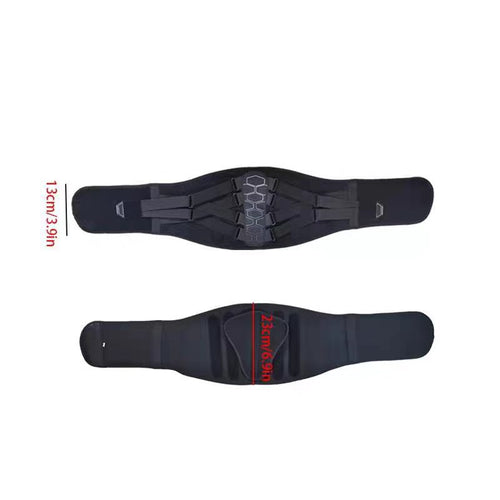 Support Belt