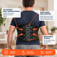 DadBack Lumbar Belt